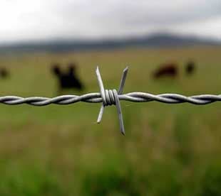 Double twist barbed wires