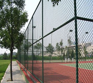 Chain Link Fence