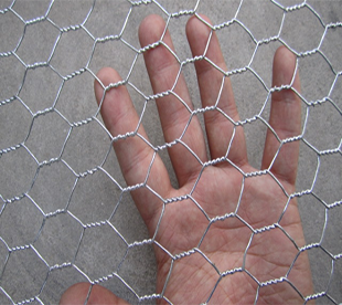 Hexagonal Wire Netting