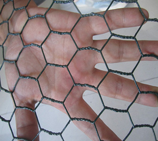 Hexagonal Wire Netting