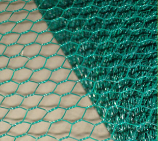 Hexagonal Wire Netting