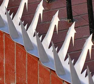 Wall-Spikes-Security-Galvanized-Wall-Spikes